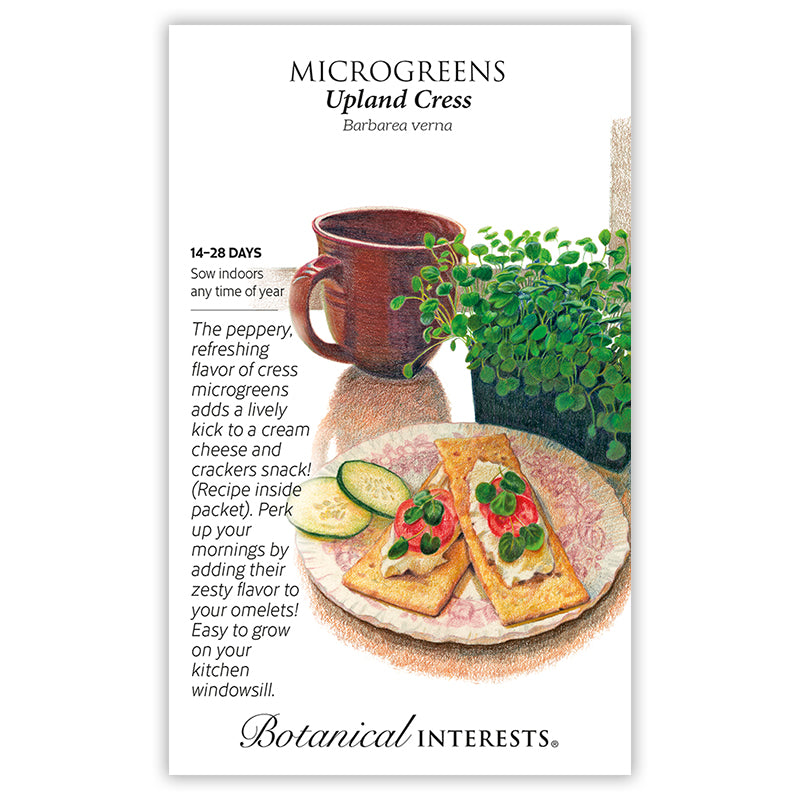 Ciao Bella Basil Blend Microgreens Seeds – Botanical Interests