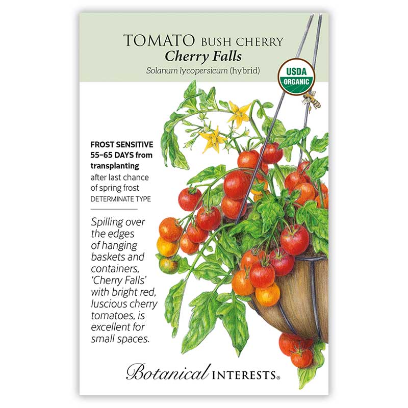 Brandywine Red & Yellow Blend Pole Tomato Seeds – Botanical Interests