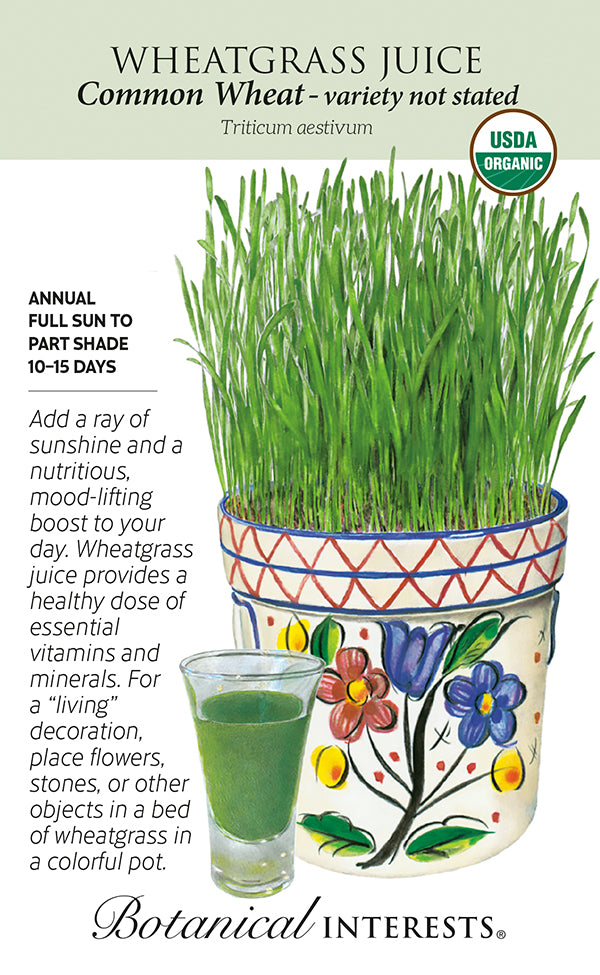 Botanical Interests Wheatgrass Juice Common Wheat Organic Seeds