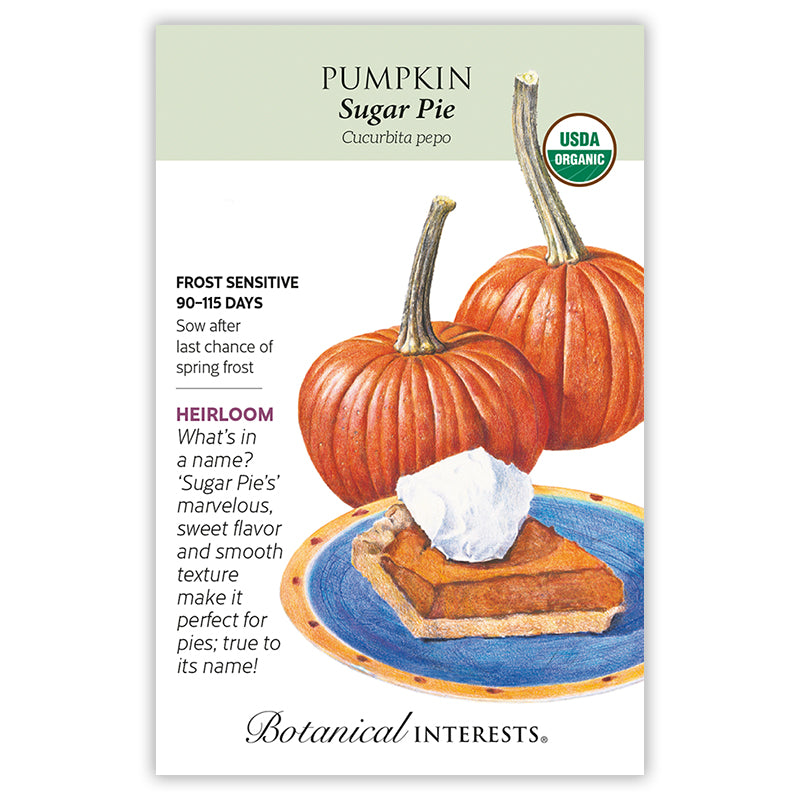 Botanical Interests Pumpkin Sugar Pie Organic Seeds